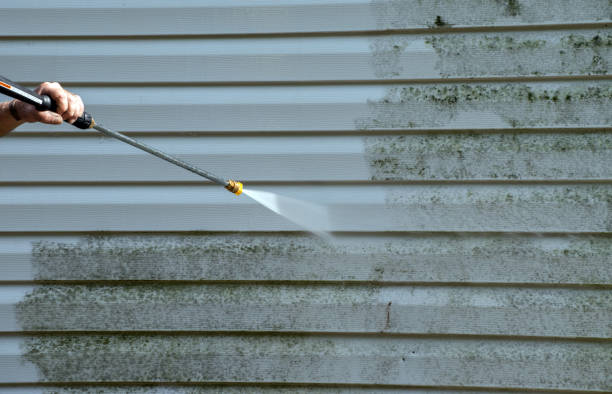 Best Affordable Pressure Washing  in Williamson, AZ